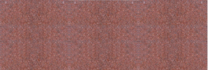 raj shree red granite